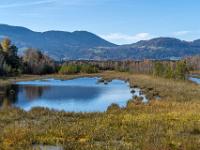 Mehrere Moorseen durchziehen die weite Moorlandschaft